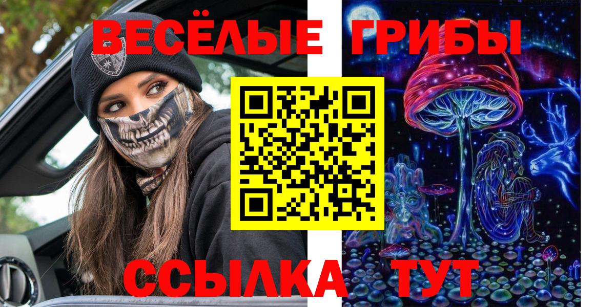 Псилоцибиновые грибы GOLDEN TEACHER Астрахань